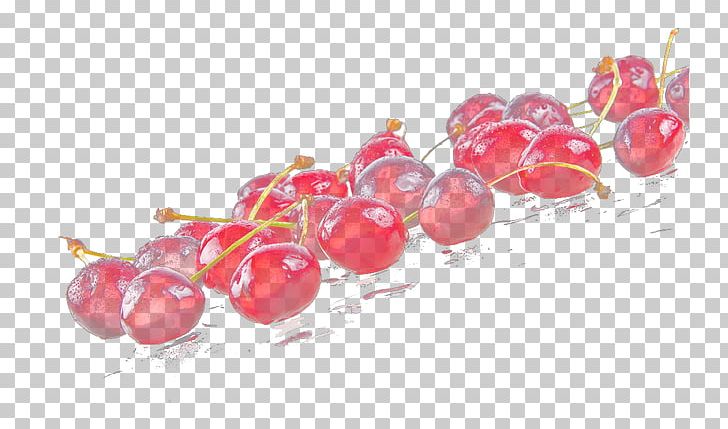 Cranberry PNG, Clipart, Berry, Cherries, Cherry, Cranberry, Food Free PNG Download