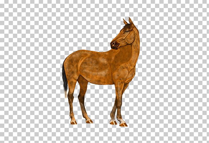 Horse Stallion Pony Digital Art PNG, Clipart, Animals, Art, Bridle, Brown, Colt Free PNG Download