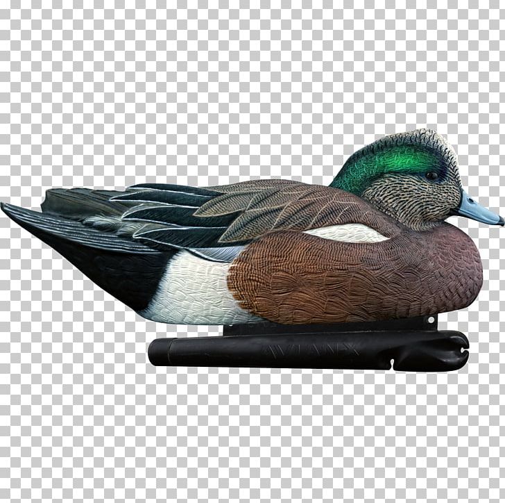 Mallard Duck Decoy Duck Decoy Goose PNG, Clipart, American Wigeon, Animals, Anseriformes, Beak, Bird Free PNG Download