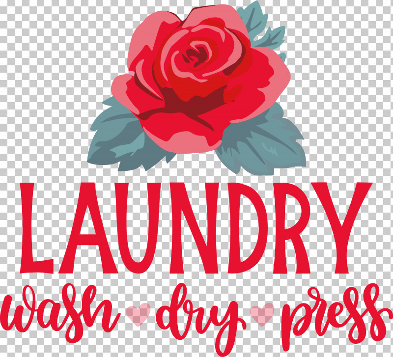 Laundry Wash Dry PNG, Clipart, Cut Flowers, Dry, Floral Design, Flower, Garden Free PNG Download