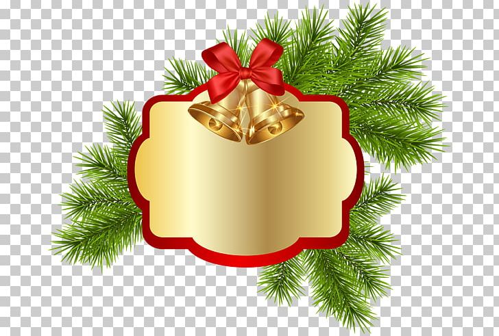 Christmas Decoration Christmas Ornament PNG, Clipart, Branch, Christmas, Christmas Decoration, Christmas Gift, Christmas Ornament Free PNG Download