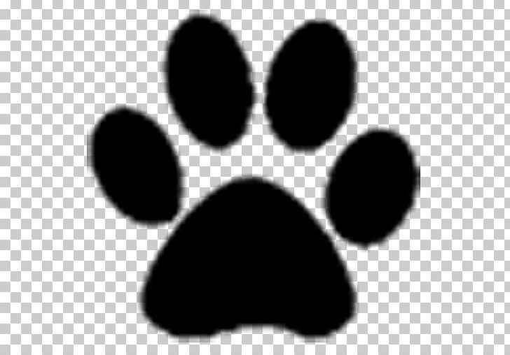 Dog Paw Tiger PNG, Clipart, Animals, Black, Black And White, Cat, Claw Free PNG Download