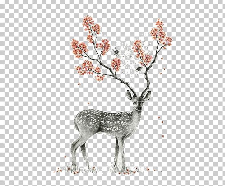 Reindeer Gray Wolf Owl Bird PNG, Clipart, Animals, Antler, Barn Owl, Bird, Blossom Free PNG Download