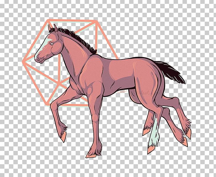 Foal Mane Stallion Mustang Mare PNG, Clipart, Bit, Bridle, Colt, English Riding, Equestrian Free PNG Download