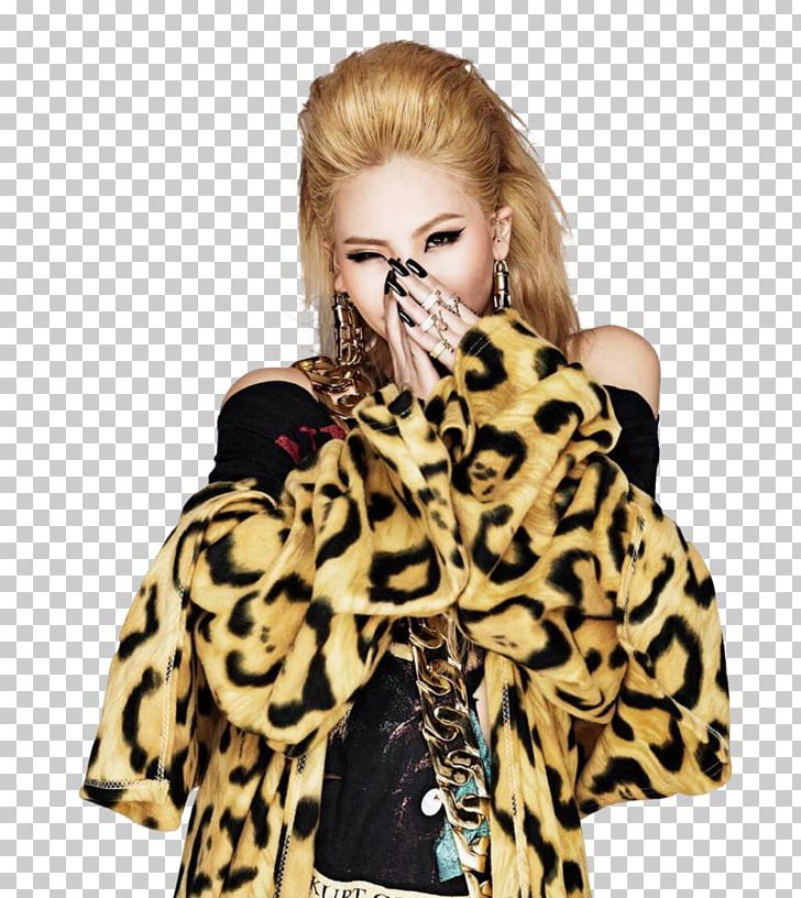 2NE1 Crush BLACKPINK K-pop MTBD PNG, Clipart, 2ne1, Animal Product, Big Cats, Black Pepper, Blackpink Free PNG Download