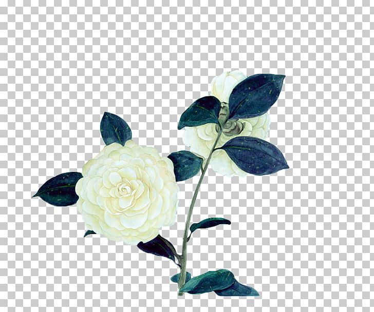 Flower White PNG, Clipart, Art, Blue, Color, Cut Flowers, Data Compression Free PNG Download