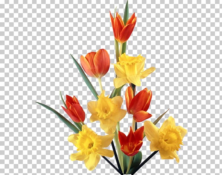 March 8 Tulip Birthday Greeting & Note Cards Flower PNG, Clipart, Birthday, Bud, Cut Flowers, Floral Design, Floristry Free PNG Download