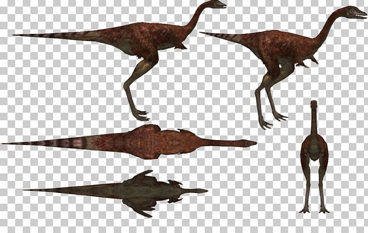 Velociraptor Animal PNG, Clipart, Animal, Animal Figure, Beak, Dinosaur, Fauna Free PNG Download