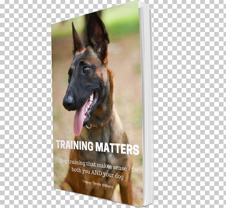 German Shepherd Belgian Shepherd Dog Breed Tervuren Malinois Dog PNG, Clipart, Bark, Belgian Shepherd, Belgian Shepherd Malinois, Dog, Dog Breed Free PNG Download