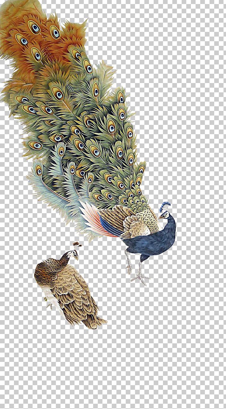 Graphic Design Peafowl PNG, Clipart, Animals, Antique Background, Antique Frame, Antique Pattern, Antiques Free PNG Download