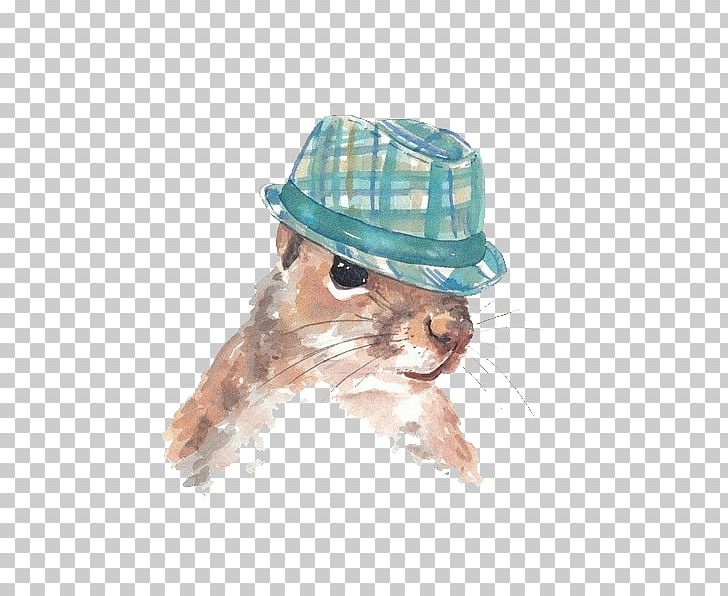 Siamese Cat Squirrel Painting Drawing PNG, Clipart, Animal, Animals, Art, Cap, Cat Free PNG Download