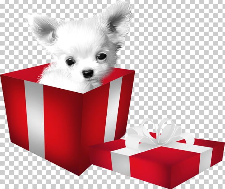 Pomeranian Puppy Companion Dog Dog Breed PNG, Clipart, Animals, Breed Group Dog, Carnivoran, Companion Dog, Computer Software Free PNG Download