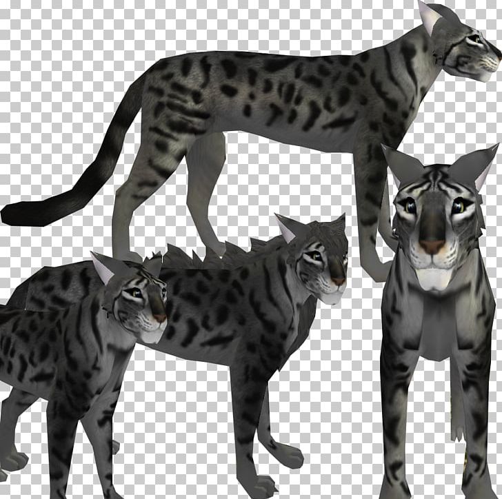 Bengal Cat Feral Cat Felidae Kitten PNG, Clipart, Animals, Bengal, Bengal Cat, Big Cat, Big Cats Free PNG Download
