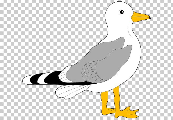 Bird Gulls PNG, Clipart, Animals, Art, Artwork, Beak, Bird Free PNG Download
