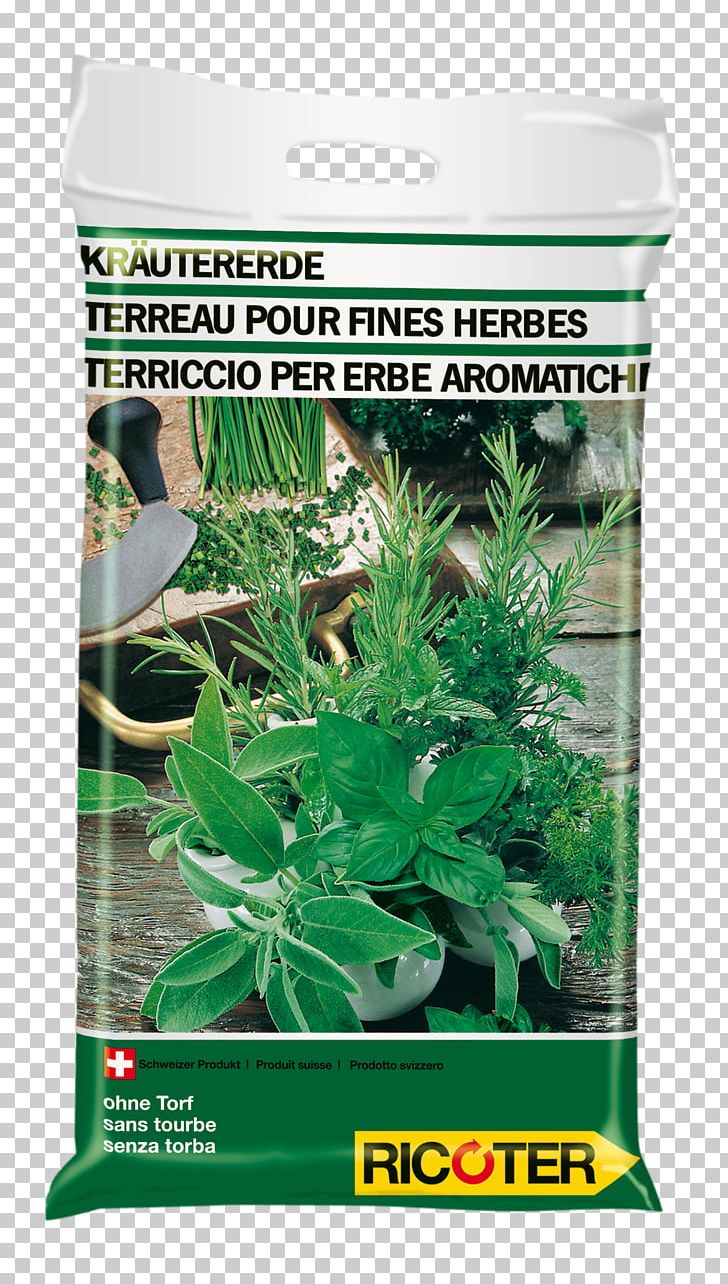 Fines Herbes Spice Water Nutrient PNG, Clipart, Ancient History, Drink, Fine Herbs, Fines Herbes, Grass Free PNG Download