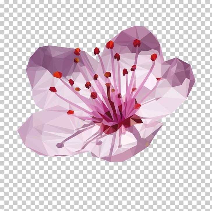 Japan Flower Cherry Blossom Ikebana T-shirt PNG, Clipart, Blossom, Cherry, Cherry Blossom, Cut Flowers, Floral Design Free PNG Download