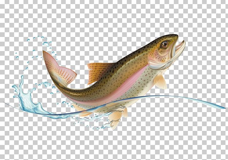 Rainbow Trout Stock Photography PNG, Clipart, Animals, Bony Fish, Cod, Creative Market, Fauna Free PNG Download