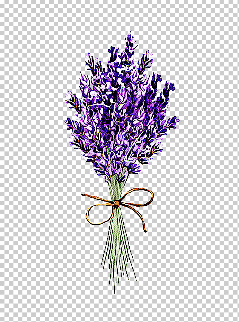 Lavender PNG, Clipart, Cut Flowers, English Lavender, Flower, Lavender, Plant Free PNG Download