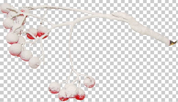 Body Jewellery Toy Infant PNG, Clipart, Baby Toys, Body Jewellery, Body Jewelry, Chilli, Infant Free PNG Download