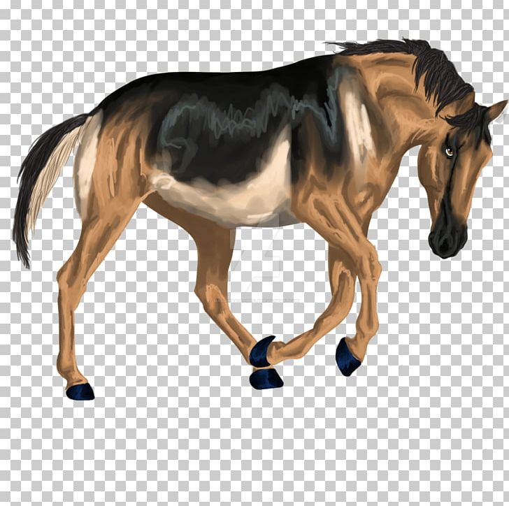 Mane Mustang Foal Rein Pony PNG, Clipart, Bridle, Equine Coat Color, Foal, Fursuit, Halter Free PNG Download