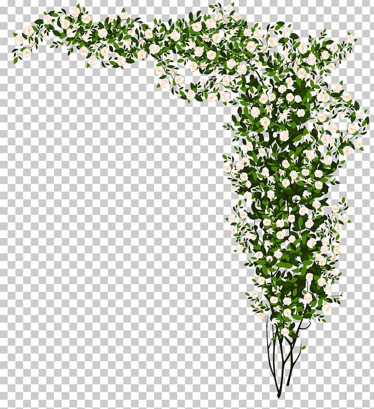 Plant Flash Video Matroska PNG, Clipart, 3gp, Branch, Chrysanthemum, Download, Flash Video Free PNG Download