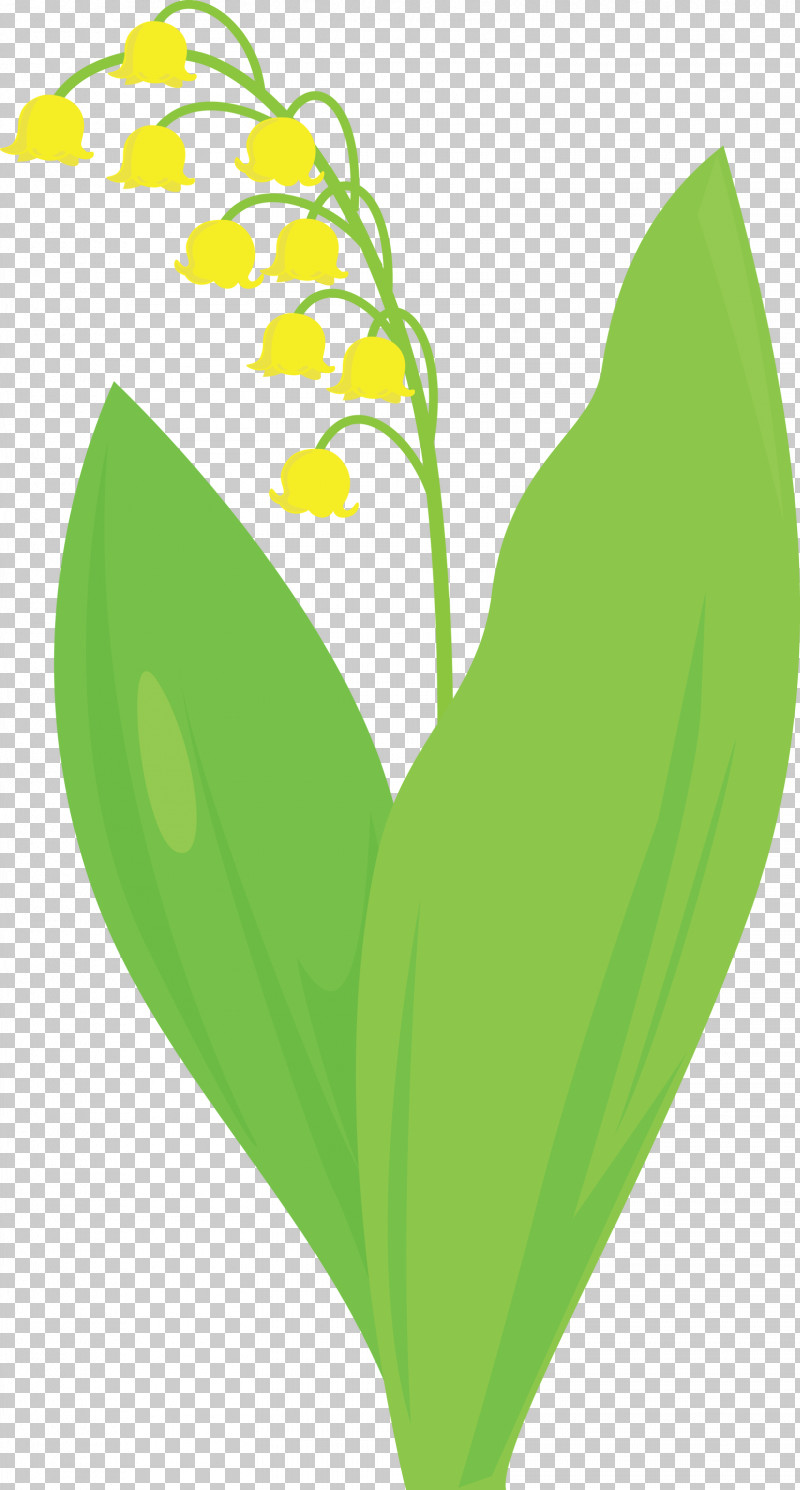 Lily Bell Flower PNG, Clipart, Anthurium, Flower, Green, Heart, Leaf Free PNG Download