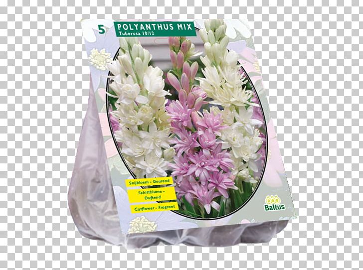 Cut Flowers Lilies Hyacinth Bulb Giant Allium PNG, Clipart, Allium, Bulb, Cut Flowers, Flower, Flower Bouquet Free PNG Download
