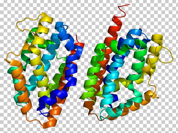 Heme Oxygenase HMOX2 HMOX1 Enzyme PNG, Clipart, Body Jewelry, Catabolism, Chromosome 22, Cyclooxygenase, Enzyme Free PNG Download