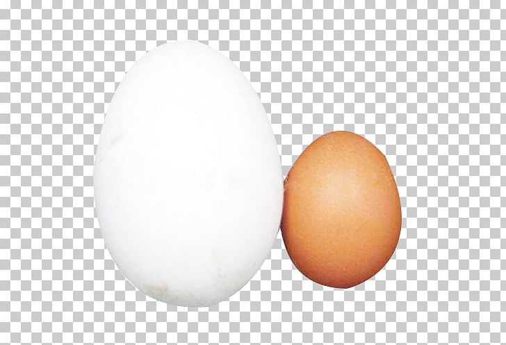 Domestic Goose Egg White Chicken PNG, Clipart, Animals, Chicken, Chicken Egg, Designer, Domestic Goose Free PNG Download