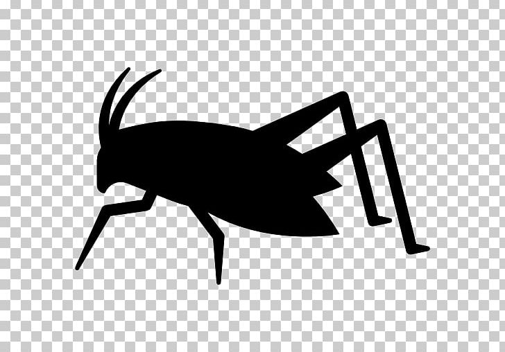 Insect Computer Icons Bed Bug PNG, Clipart, Artwork, Bed Bug, Black And White, Caelifera, Computer Icons Free PNG Download