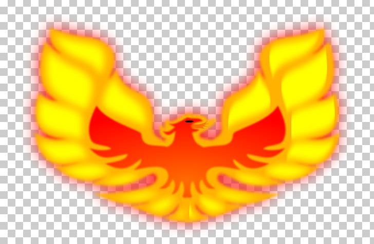 Firebird Phoenix T-shirt PNG, Clipart, Art, Beak, Clothing, Computer Wallpaper, Fantasy Free PNG Download