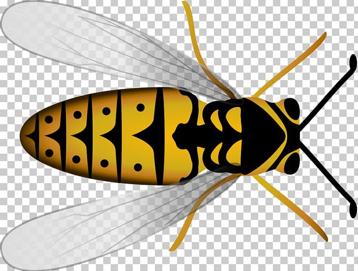 Honey Bee Insect Hornet Beehive PNG, Clipart, Apiary, Arthropod, Bee, Beehive, Bee Sting Free PNG Download
