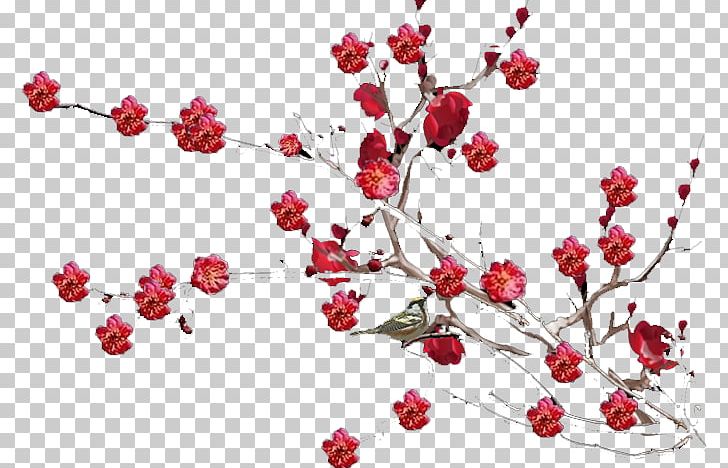 Plum Blossom Landscape Gratis PNG, Clipart, Ameixeira, Blossom, Branch, Branches, Cherry Blossom Free PNG Download