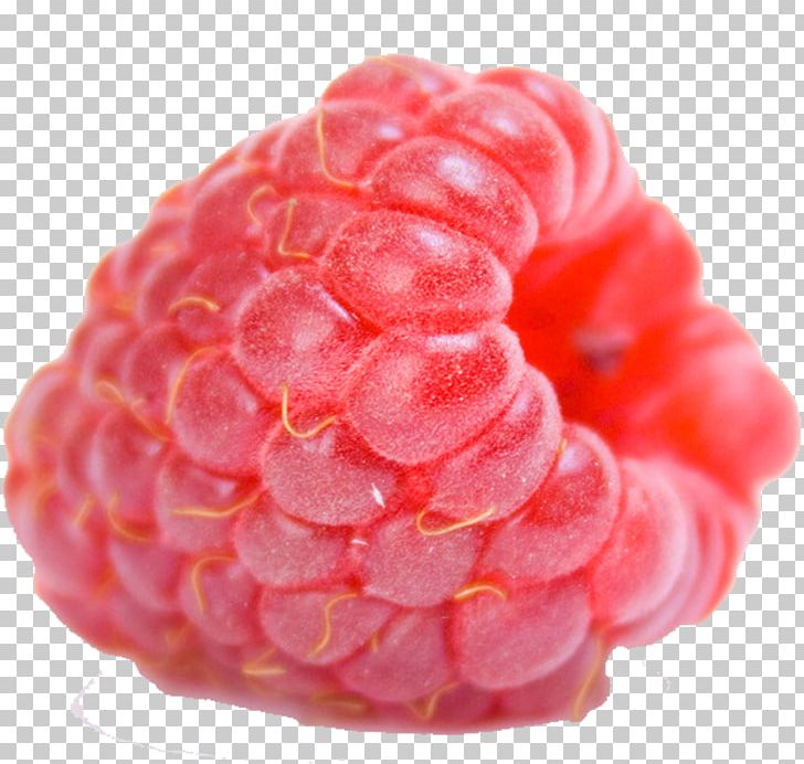 Red Raspberry Fruit Auglis Mxfbre PNG, Clipart, Amora, Apple Fruit, Auglis, Berry, Decoration Free PNG Download