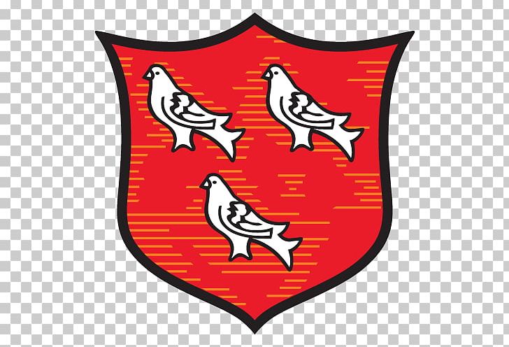 Dundalk F.C. Waterford FC League Of Ireland Sligo Rovers F.C. Limerick F.C. PNG, Clipart, Area, Beak, Bird, Derry City Fc, Dundalk Free PNG Download