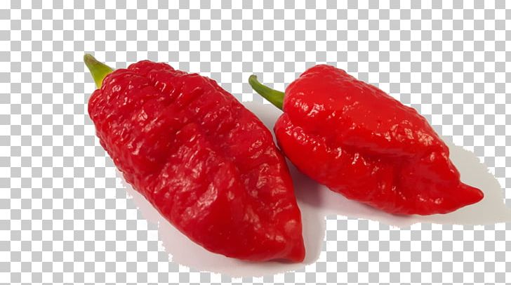 Habanero Piquillo Pepper Bird's Eye Chili Tabasco Pepper Cayenne Pepper PNG, Clipart,  Free PNG Download