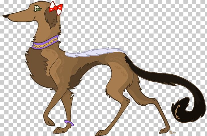 Italian Greyhound Spanish Greyhound Sloughi Whippet PNG, Clipart, 08626, Animal Sports, Astonished, Azawakh, Breed Free PNG Download