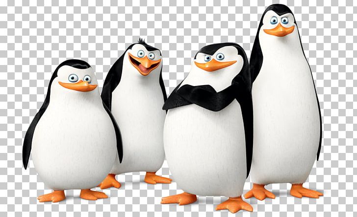 Madagascar: Operation Penguin Kowalski Skipper PNG, Clipart, 321 Penguins, Animals, Bird, Christopher Knights, Desktop Wallpaper Free PNG Download