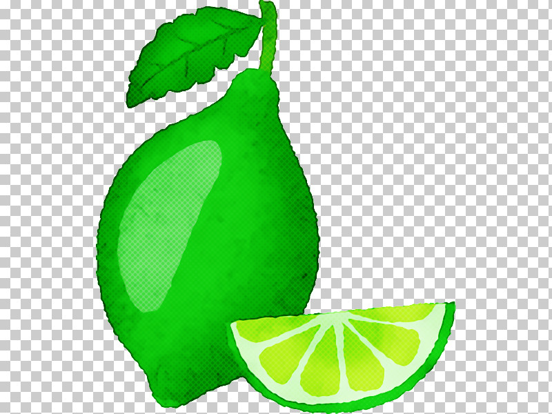 Lime Persian Lime Lemon-lime Drink Citric Acid Leaf PNG, Clipart, Acid, Biology, Citric Acid, Citrus Fruit, Green Free PNG Download