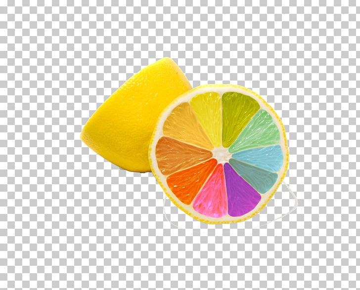 Color Orange Lemon Grapefruit PNG, Clipart, Blue, Catering, Circle, Citric Acid, Citrus Free PNG Download