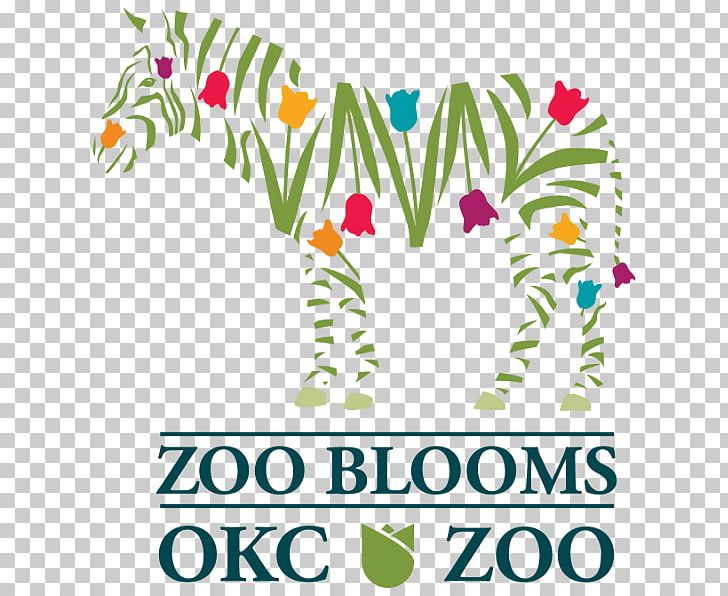 Oklahoma City Zoo Floral Design Botanical Garden Kalidy PNG, Clipart, Area, Artwork, Botanical Garden, Flora, Floral Design Free PNG Download