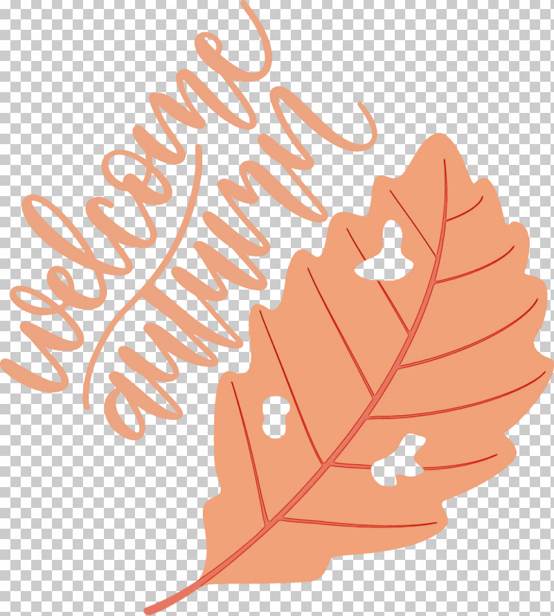 Leaf Flower Tree Meter Line PNG, Clipart, Autumn, Flower, Geometry, Hm, Leaf Free PNG Download