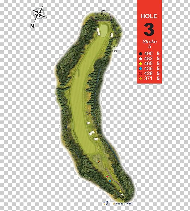 Golf Tees Squirrel Par Damme Golf & Country Club PNG, Clipart, Animals, Ball, Damme Golf Country Club, Dog, Golf Free PNG Download