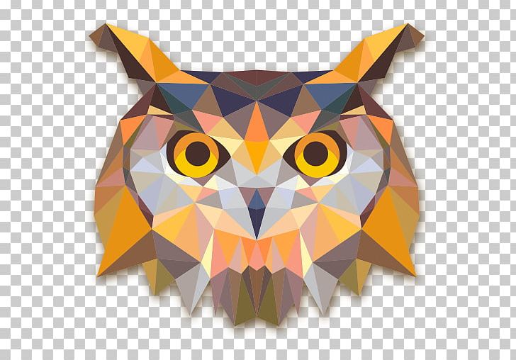 Baby Owls Geometry Bird PNG, Clipart, Andrew, Animal, Animals, Art Paper, Baby Owls Free PNG Download