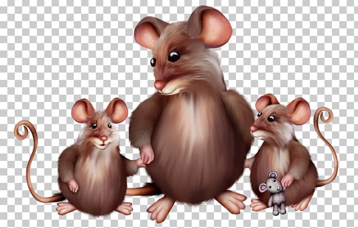 Computer Mouse Frontispiece: The Tailor Mouse Apple Mighty Mouse PNG, Clipart, Computer, Digital Image, Electronics, Fauna, Frontispiece The Tailor Mouse Free PNG Download