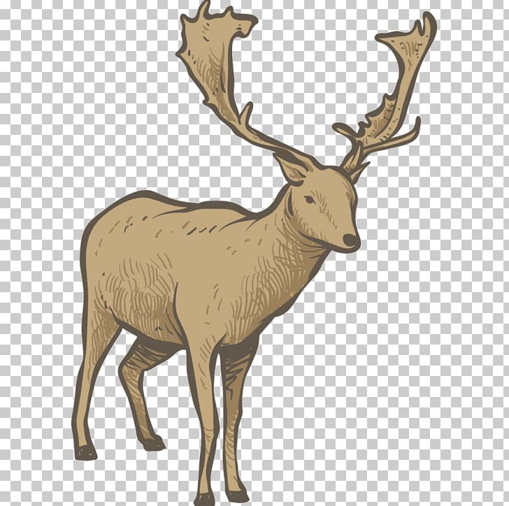 Drawing PNG, Clipart, Animaatio, Antler, Art, Cartoon, Deer Free PNG Download