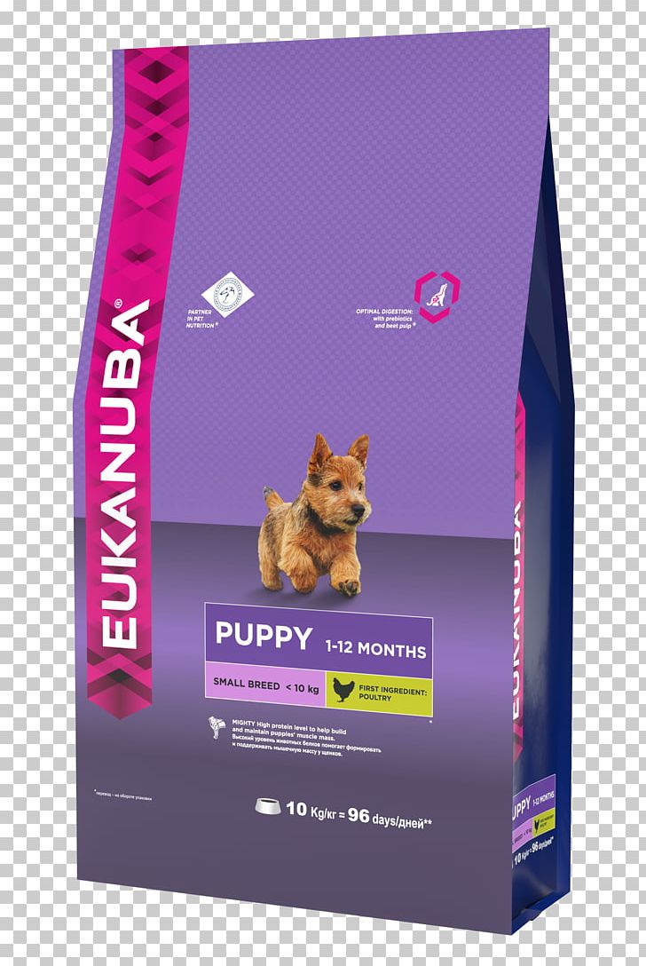 Puppy Dog Food Eukanuba Dog Breed PNG, Clipart, Dog Breed, Dog Food, Eukanuba, Puppy Free PNG Download
