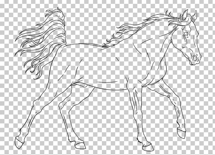 Horse Mane Coloring Book Colt Foal PNG, Clipart, Animal Figure, Animals, Artwork, Black And White, Bridle Free PNG Download