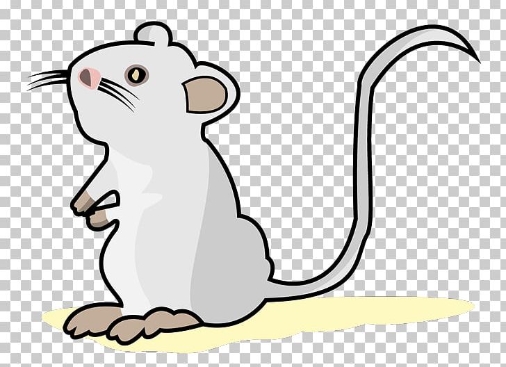 Mouse Whiskers Rat Cat PNG, Clipart, Animal, Animals, Artwork, Carnivoran, Cartoon Free PNG Download