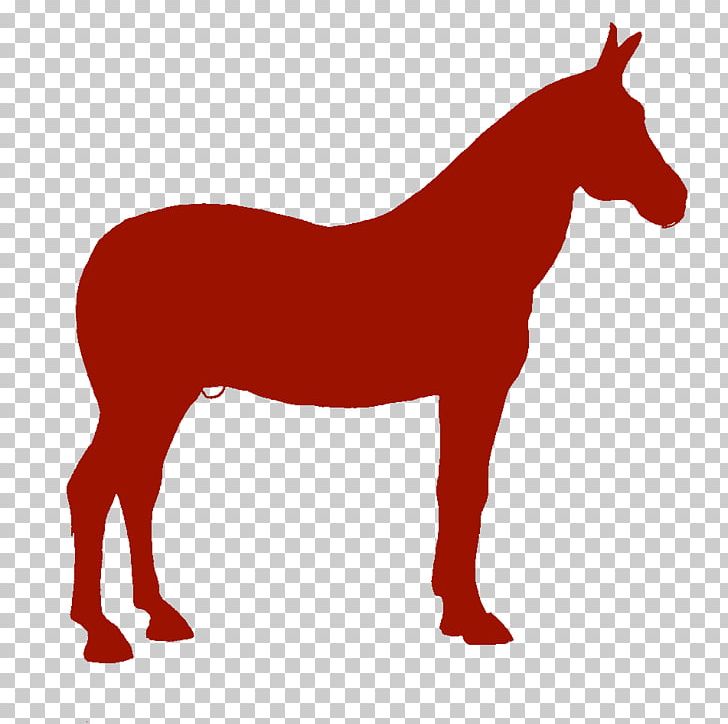 Mule American Quarter Horse Pony Mustang Foal PNG, Clipart, Americ, Aorta Clipart, Bay, Black, Bridle Free PNG Download